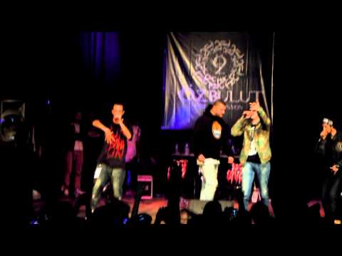 Maestro - Dahi ( feat. No.1 ) Canlı Performans Özbulut Organizasyon VOL.3