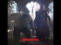 Marvel Thor vs hulk l #Shorts