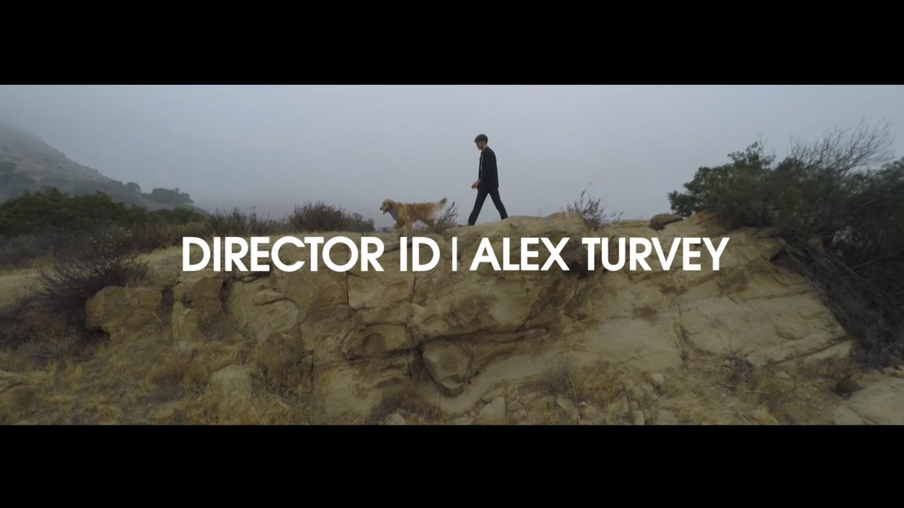 pitchfork music festival Director ID | Alex Turvey