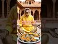 जोधपुरी थाली का आनंद लेते हुए बंदर भाई🙏