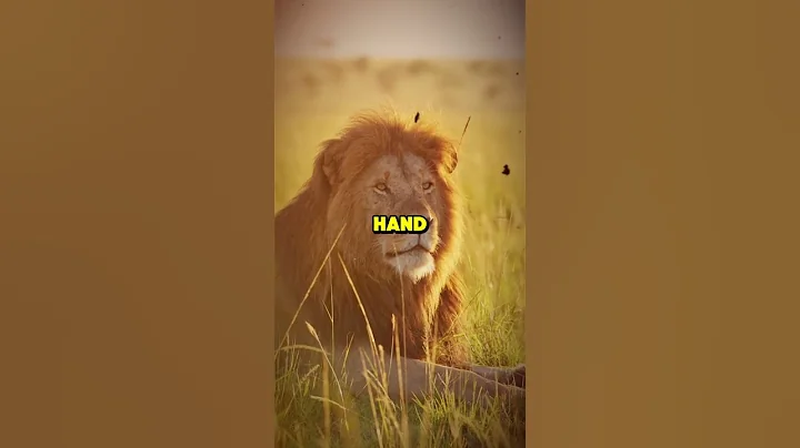 THE RIPPLE EFFECT OF KINDNESS@themotivationhub89 #short #motivational short