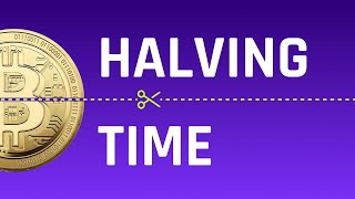 Halving Time: как халвинг Litecoin повлияет на Bitcoin?
