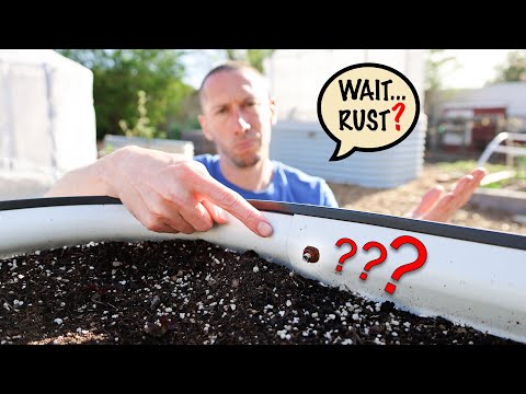 The Ugly Truth about Raised Beds...
