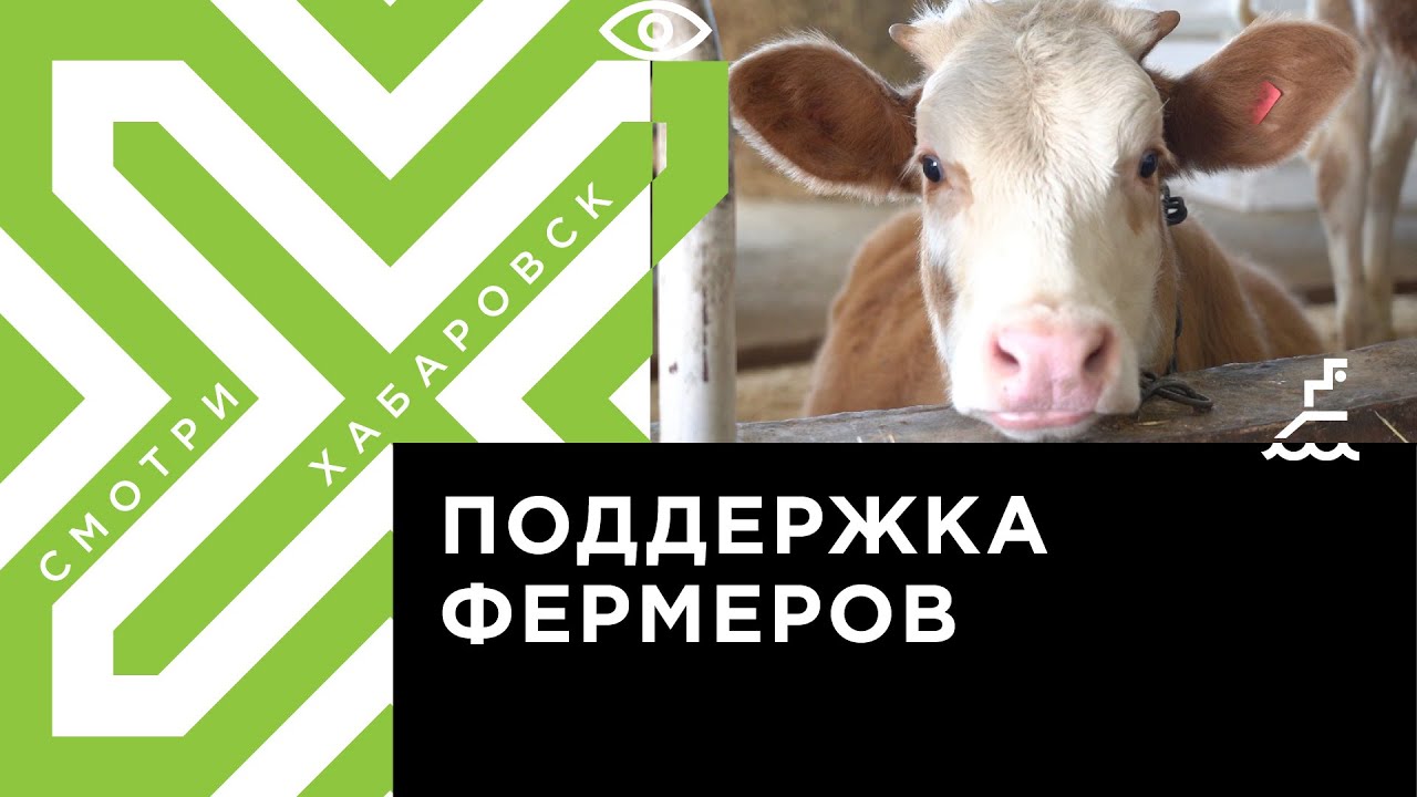 Гранты хабаровского края