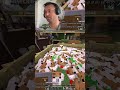 Feeding my Chickens | Minecraft Survival | #momocoder on #Twitch