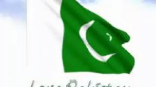 Pak flag Gifs screenshot 2