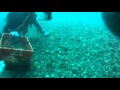 Drift Diving the St Clair River in search of Indian Stone net sinkers.