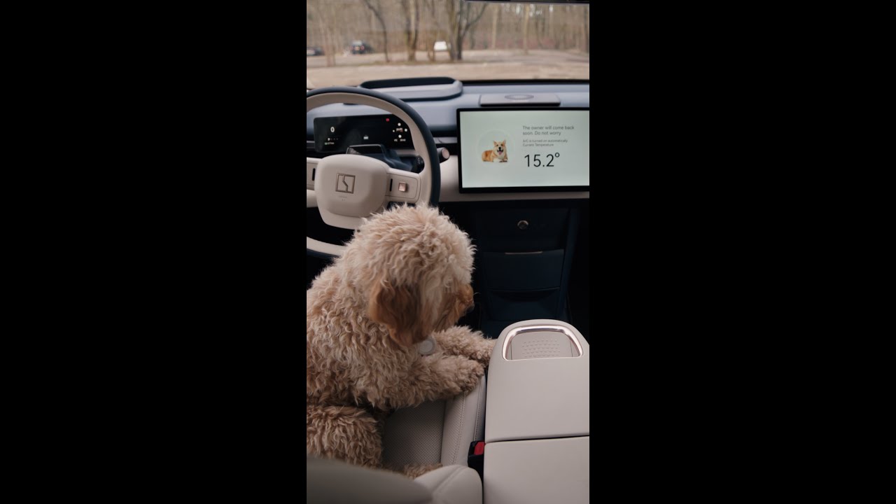 It’s Puppy Day! 🐶