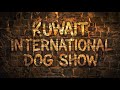 KUWAIT INTERNATIONAL DOGS SHOW 2025 XDOGSCHOOL KUWAIT التوره DOGS DOG 