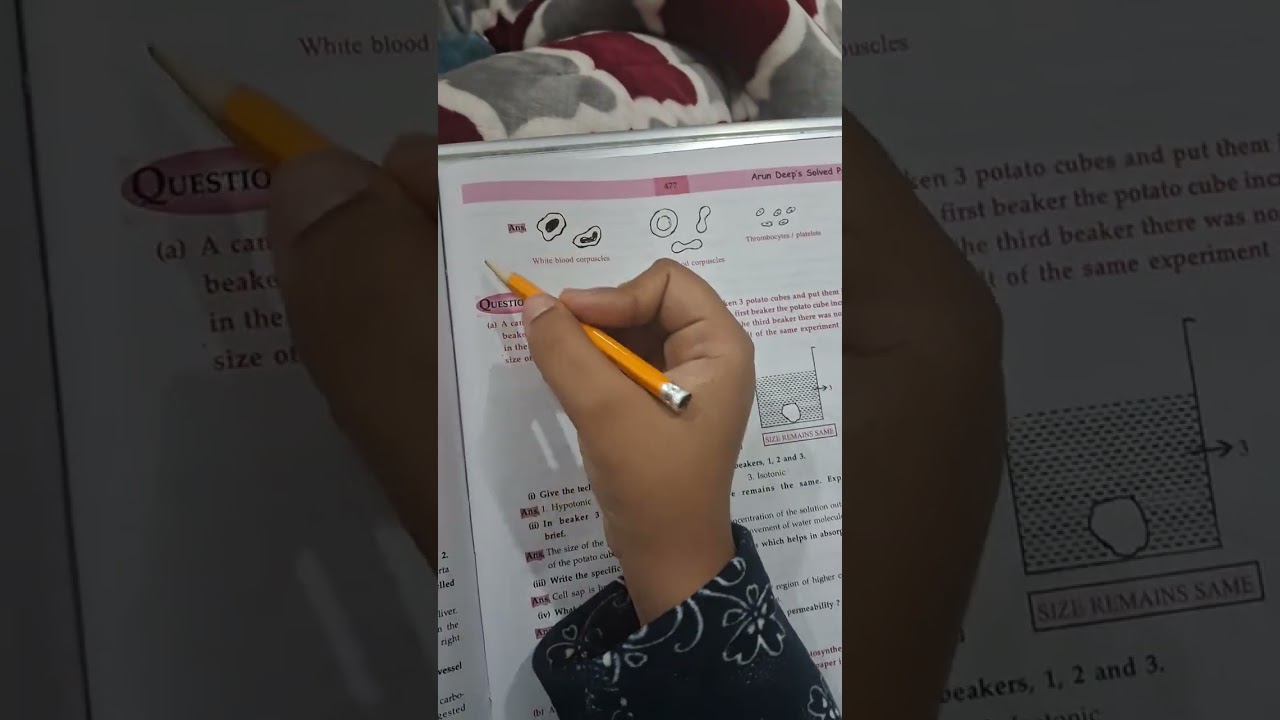 2014 BIO BOARD PAPER class 10 icse board biology 