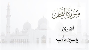 سورة النحل | ياسين نائب