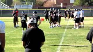 Information Insight.2 -- More blitz pick-up News