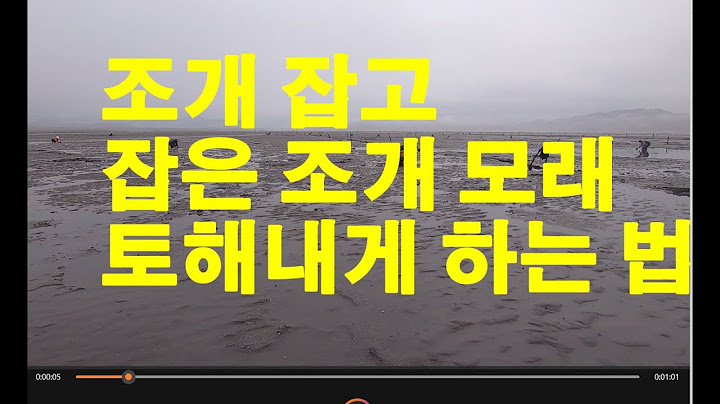바지락 잡고 조개 속의 모래 토해내게 하는 법 2023 04 29 Untitled