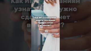 Как компаниям и ИП узнать, что им нужно сдавать отчет в статистику? @tsudikovapro