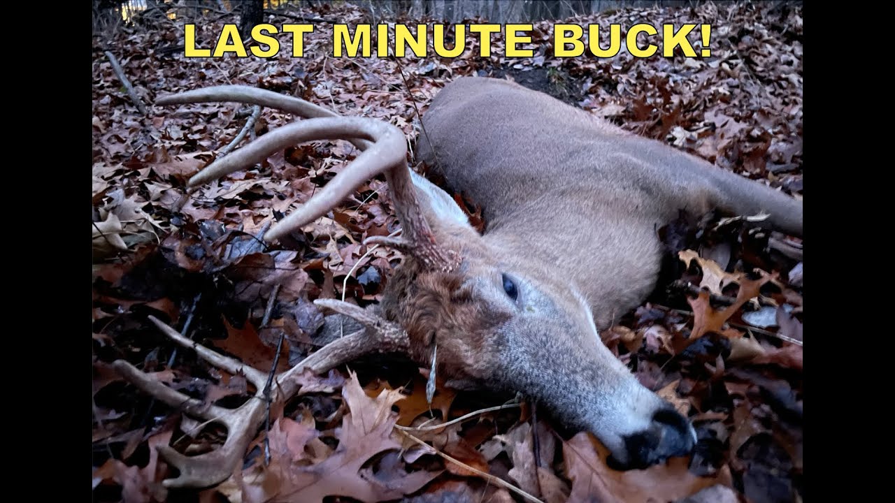 Buck Down in Final Moments of the Season Bowhunting during Gun Season