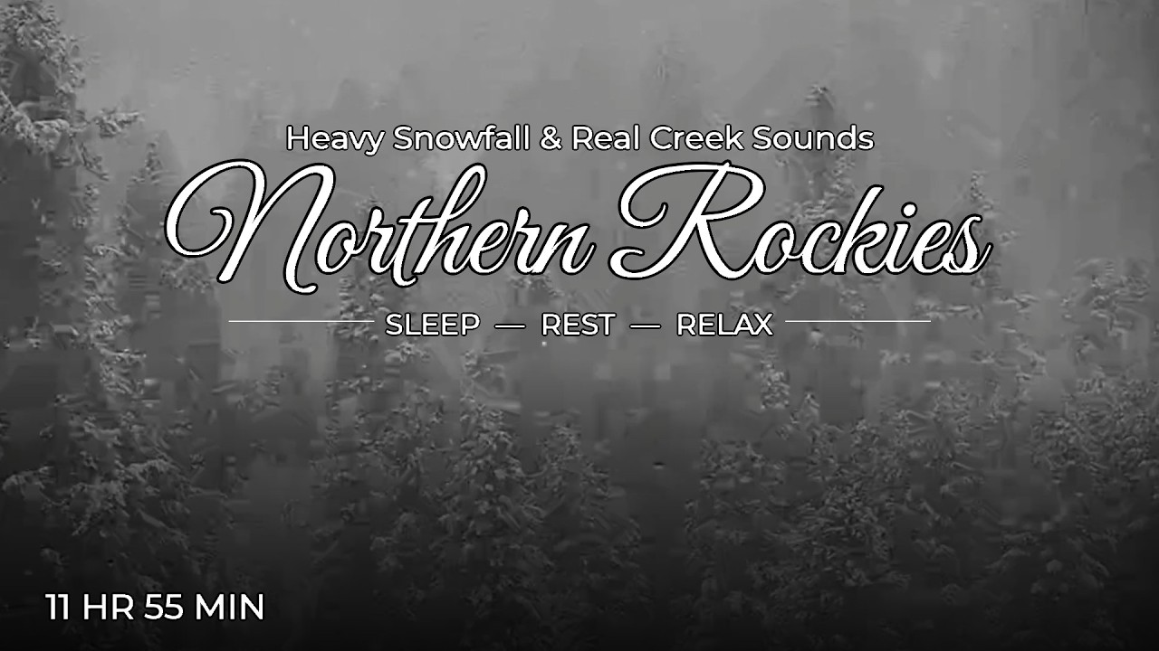 Real Snowfall | Sleep Sounds from the Northern Rockies