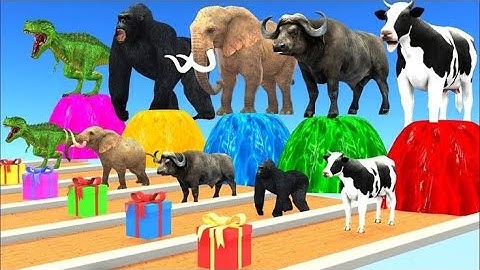 Long Slide Game With Cow Elephant Gorilla Hippopotamus Tiger - 3d Animal Game - Funny 3d Animals