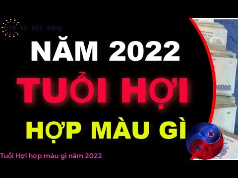 Đinh Hợi Hợp Màu Gì - Tuổi Hợi hợp màu gì trong năm 2022 để mang đến Tài Lộc