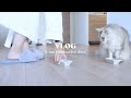Tokyo diaries🇯🇵vlog by Japanese psychology student / life in Japan
