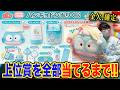 【激闘】愛する"ハンギョドン"のくじを予算無制限で引いたら過去最大のピンチに…!?【サンリオくじ、一番くじ】