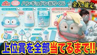 【激闘】愛する"ハンギョドン"のくじを予算無制限で引いたら過去最大のピンチに…!?【サンリオくじ、一番くじ】