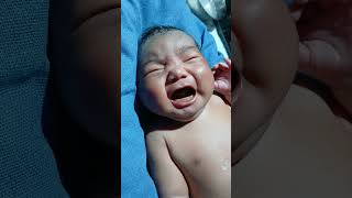 Newborn baby is very hot cry baby is very hungry #baby #cute #newbornbaby #babychoice #newborn #