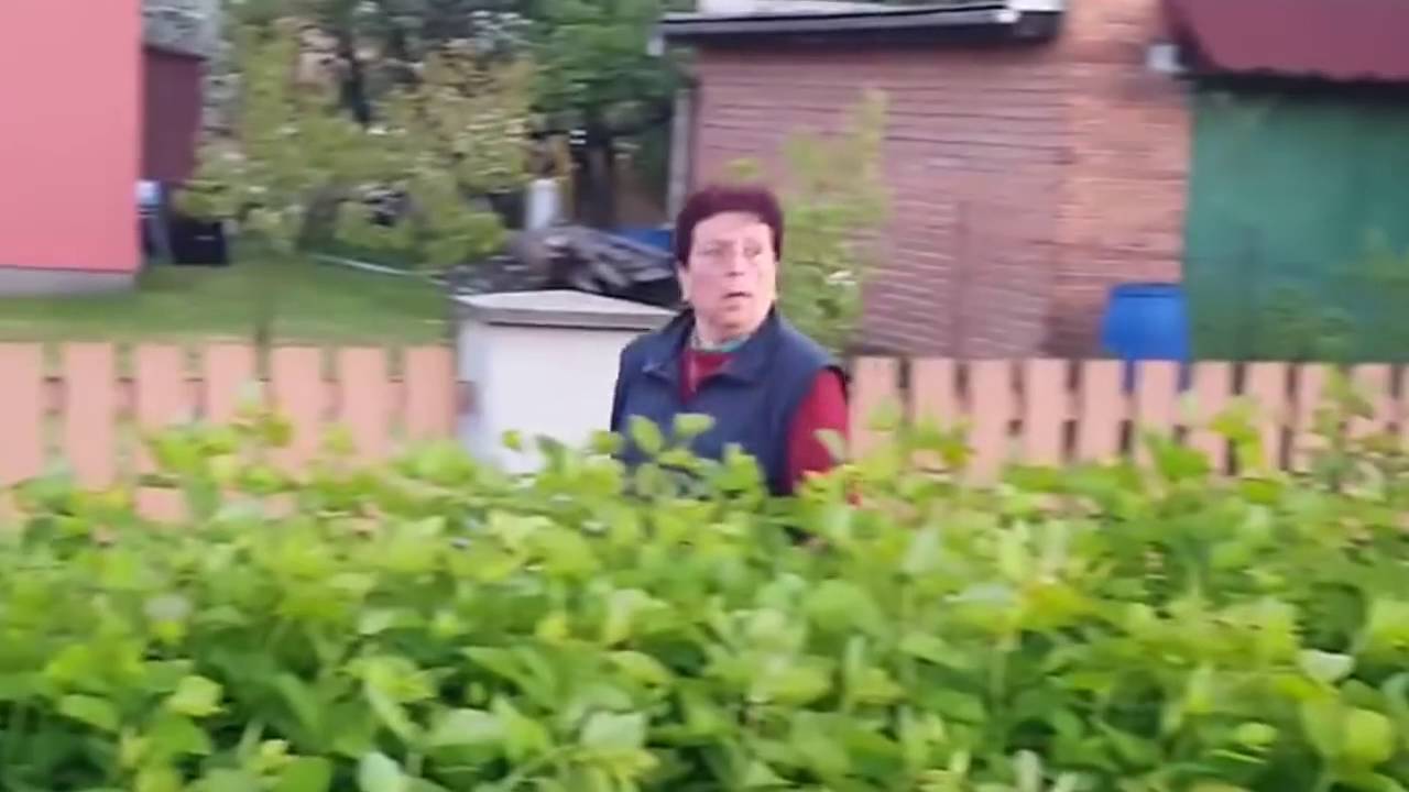 Suseda kradne orgovan REMIX by [S]edrik