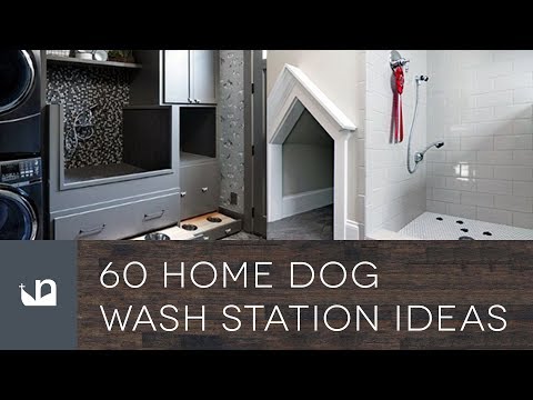 tile dog wash station