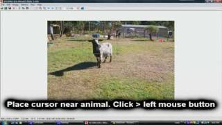 Image Cropping/Resizing for Registration