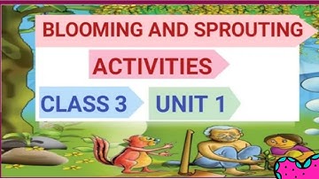 Blooming and Sprouting Class 3 Activities / പൂത്തും തളിർത്തും / Part 1 /E V S/പരിസരപഠനം / Nisa N A
