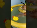 Berenang untuk anak dibawah 1 tahun