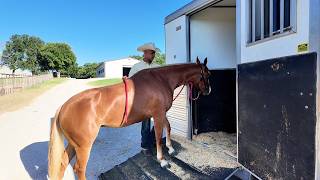 How to Load a Horse in a Trailer By Yourself. No Whip, No Help, No Drama