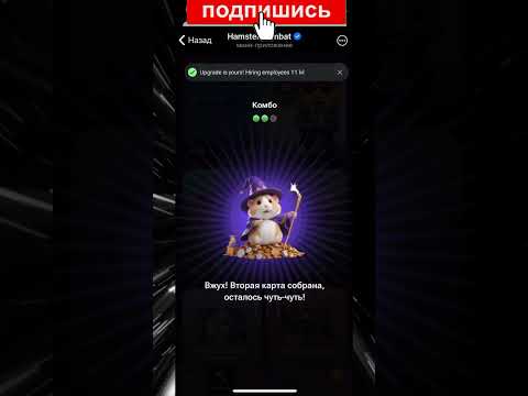 1-2 СЕНТЯБРЯ. НОВЫЕ КОМБО КАРТЫ в Хамстер Комбат ! КАК ПОЛУЧИТЬ 5 МИЛЛИОНОВ МОНЕТ В HAMSTER KOMBAT
