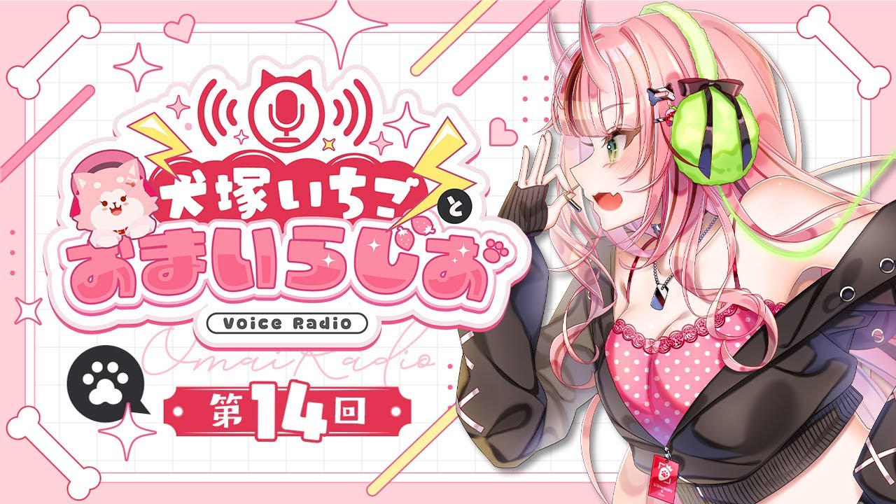 犬塚いちごさん直筆 サイン入り 犬属ギター 犬塚いちごとおまいらじお