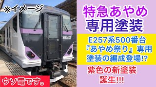 【架空】E257系500番台が●●専用塗装に!! あの臨時列車は全てこの編成で運行開始!?【走るウソ電】