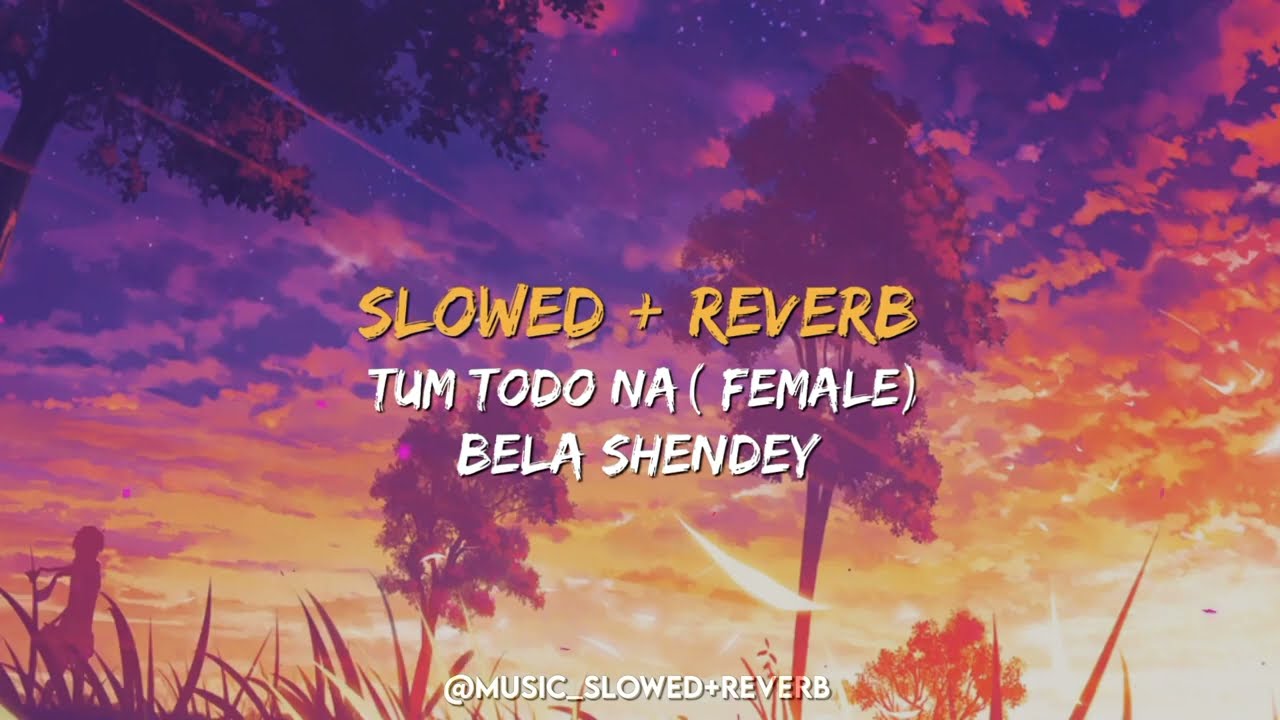 Tum Todo Na Female  SLOWED  REVERB   Bela Shendey  Ash King  Lyrics