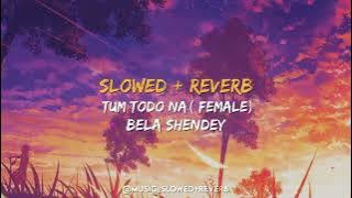 Tum Todo Na (Female) [ SLOWED   REVERB ] || Bela Shendey , Ash King || Lyrics