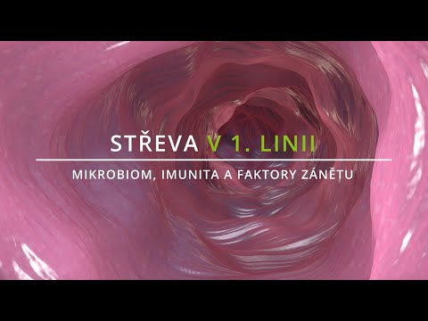 Video: Mrkvová Bakterióza