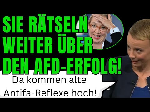 "AfD-Hoch trotz so scharfer Migrationspolitik!" // Amüsante Analyse offenbart Realitätsverweigerung