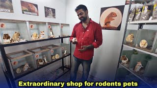 Pet shop tour | chennai | தமிழ் | map Hamster