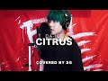 CITRUS / Da-iCE ( cover by SG )