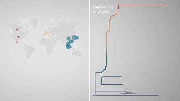 The importance of targeted NGS for SARS-CoV-2 epidemiology and transmission studies