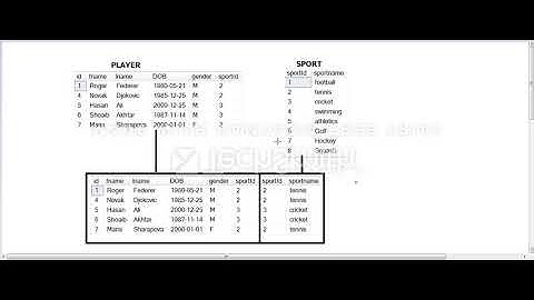 4   SQL SCRIPT    Querying Multiple Tables By Joining Them