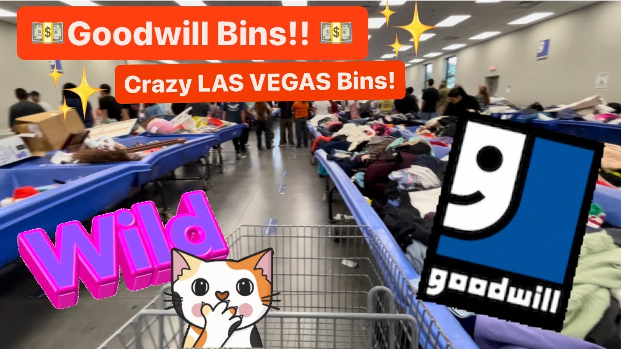 Let’s GO to the LAS VEGAS Goodwill Bins! It Was Pure Chaos! Let’s Dig