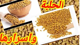 حبوب الحلبة عندها فوائد كثيرة اجي معيا تكتشفها بنفسك مرحبا??