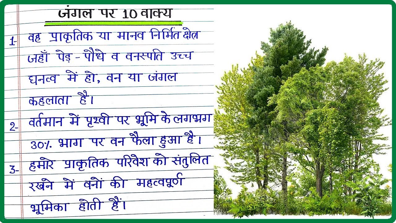 essay forest conservation in hindi