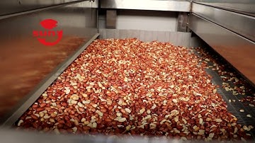 New Type Continous Peanut Roasting Machine