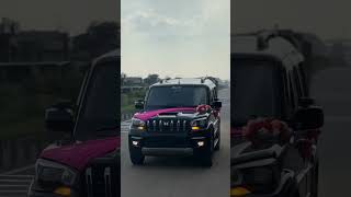Black Scorpio ❤️‍🔥 ✅️#blackscorpios11 #scorpiolover #mahindrascorpio #blackscorpiolovers #topbhp