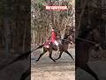 Faizabad Horse Race 2026 Rounahi Race  Faizabad Ghoda 👑 Race #horse #horseshorts #sindhi #racing