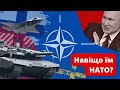 Швеція та Фінляндія у НАТО! Чому українці хочуть до NATO?